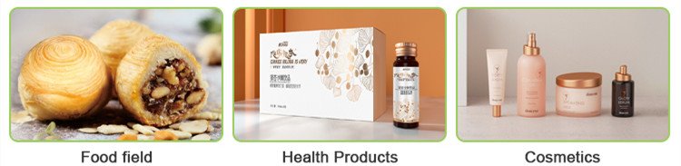 Ginkgo Biloba Extract .jpg